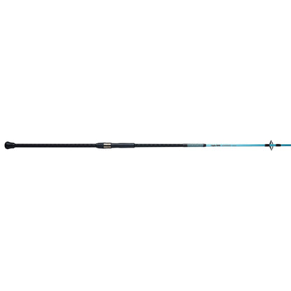 Carbon Surf Spinning Rod